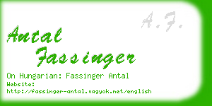 antal fassinger business card